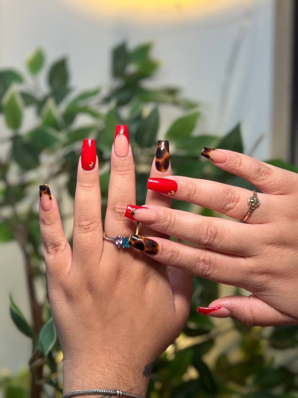 photo_2025-11-17_11-21-57